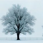 Preparing Your Fence for Winter: Tips for Vinyl & Aluminum